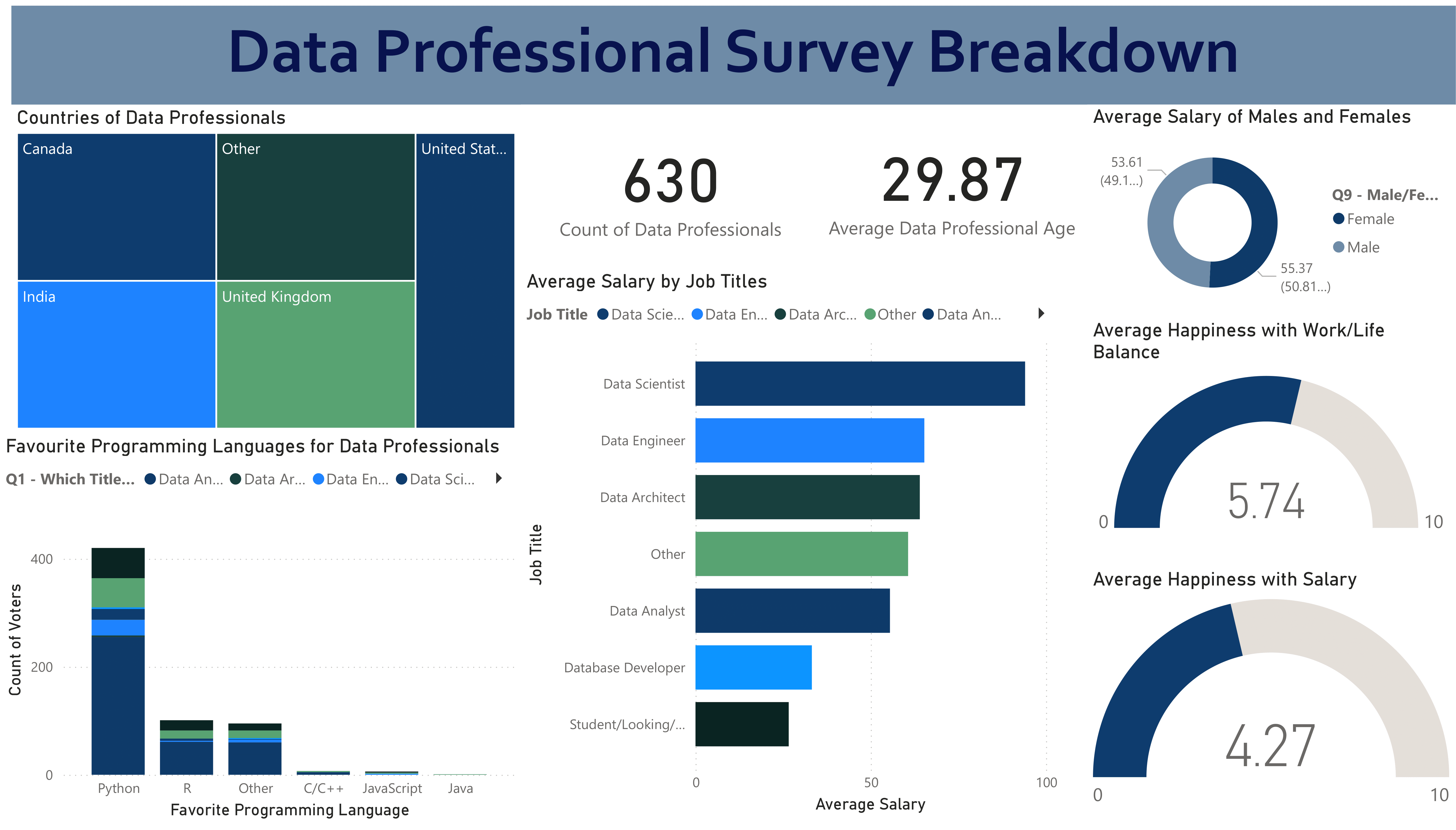 Data Professionals Dashboard